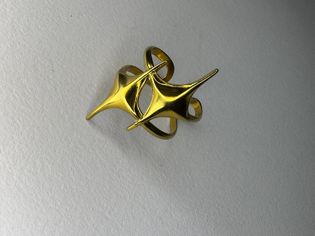 Anillo Nova Star PVD Ajustable